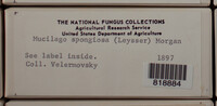 Image Associated With the Occurence